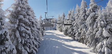 Image for: PACCHETTO FAMILY: 1 Adulto + 2 Ragazzi