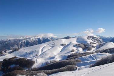 Image for: Stagionale Ragazzo Listino